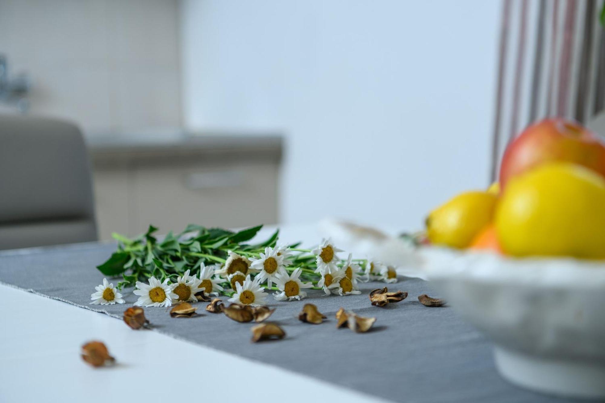Wunderschoenes In Pomer Mit Garten
